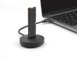 DeLOCK M.2 Dockingstation für M.2 NVMe / SATA SSD mit USB 10 Gbps USB Type-C Stecker