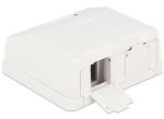 DELOCK Keystone Leergehäuse 2-Port mit Staubschutz