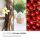 Haribo Duftkerze Happy Berry - 510g
