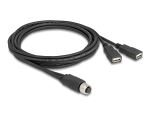 DELOCK M12 Kabel A-kodiert 8 Pin Bu zu 2 x USB 2.0 Typ Bu 2m
