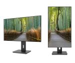 JAPANNEXT JN-27IPS4FLWQHDR-HSP Computerbildschirm 68,6 cm (27") 2560 x 1440 Pixel Wide Quad HD LCD Schwarz