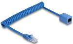 DeLOCK 90365 Netzwerkkabel Blau 1,2 m Cat6 U/UTP (UTP)