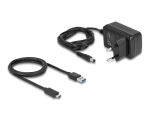DELOCK USB Type-C 3.2 Gen 2 zu SATA Konverter