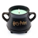 Harry Potter Duftkerze Witchs Cauldron - 230g