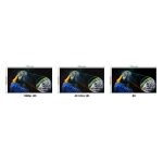 Manhattan 355957 HDMI-Kabel 3 m HDMI Typ A (Standard) Schwarz