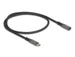 DeLOCK USB 10 Gbps Verlängerungskabel USB Type-C...