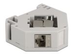 DeLOCK Hutschienenadapter mit Keystone Modul RJ45 Buchse Cat.6A LSA