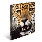 HERMA Sammelmappe A4 PP - Leopard
