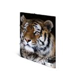 HERMA Sammelmappe A4 PP - Leopard