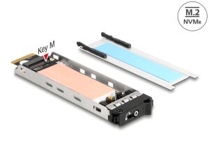 DELOCK Wechselrahmen Einschub 1 x M.2 NMVe SSD