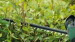 Bosch DIY UniversalHedgeCut 18-50 Akku-Heckenschere inkl. Akku 2.5Ah
