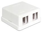 DeLOCK 86207 Drahtverbinder 2x Keystone Weiß