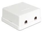 DeLOCK 86207 Drahtverbinder 2x Keystone Weiß