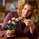 LEGO Botanicals Mini-Orchidee--10343