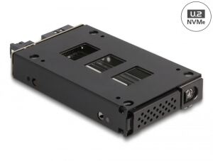 DELOCK Slim Bay Wechselrahmen für 1 x 2.5 U.2 NVMe SSD