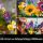 LEGO® Icons Botanicals Wildblumenstrauß--10313