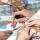 Pritt Klebestift 21 22g BTS2025 Abenteuer in der Natur
