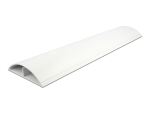 DELOCK Kabelkanal 119 x 26 mm - Länge 1 m weiß