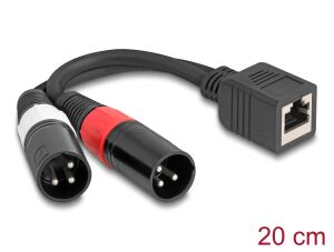 DELOCK Adapterkabel RJ45 Bu > 2x XLR 3 Pin St schwarz 20cm