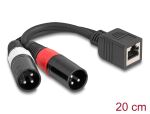 DELOCK Adapterkabel RJ45 Bu > 2x XLR 3 Pin St schwarz...