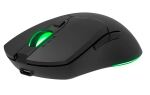 SPEEDLINK SL-680102-BK Maus Gaming USB Typ-A 4800 DPI