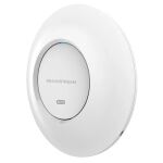 Grandstream Networks GWN7660E WLAN Access Point 1770 Mbit/s Weiß Power over Ethernet (PoE)