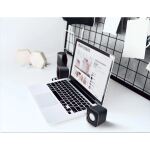 Manhattan 2600 Lautsprechersystem, USB, kompakt, 2 Lautsprecher
