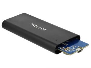 DeLOCK 42614 Speicherlaufwerksgehäuse SSD-Gehäuse Schwarz