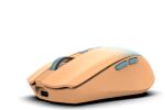 Inca IWM-511RT Maus Büro rechts RF Wireless + Bluetooth + USB Type-C Optisch 1600 DPI