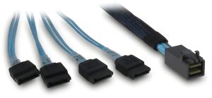 Inter-Tech SFF-8643 - 4x SATA/SAS 0,7 m 12 Gbit/s Blau