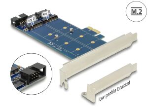 PCIe 2x M.2 NGFF Sata USB Delock