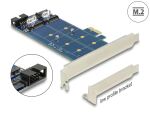 PCIe 2x M.2 NGFF Sata USB Delock