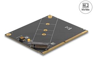 DELOCK Konverter MXM zu M.2 NVMe Key M Slot