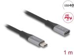 DELOCK USB 40 Gbps Verlängerungskabel USB Type-C St...