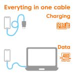 CLUB3D CAC-3011 USB Kabel 2 m USB C 0,48 Gbit/s 60 W Blau, Grün