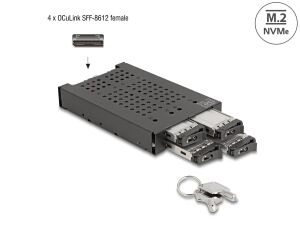 DELOCK 3.5 Wechselrahmen für 4 x M.2 NVMe SSD SFF-865