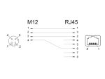 DELOCK Netzwerkadapter M12 4 Pin D-kodiert Bu > RJ45 Bu